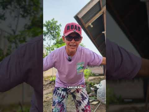 Akan jadi seperti apa halaman ini? #shorts