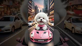 A dog's day🐶🔥#dogshorts #ai #cutedog #doglover