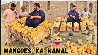 Insan bane mangoes🥭