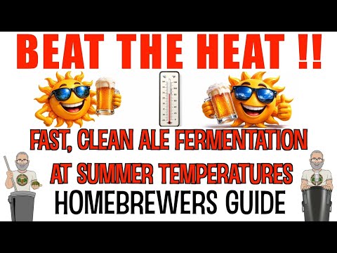 Beat the Summer Heat  Ale Yeast Selection Guide For Homebrewers