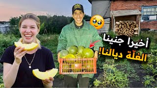 كيفاش وجدنا المزرعة لبرد سيبيريا ❄️ حصاد البطيخ وتخزين الحطب 😍