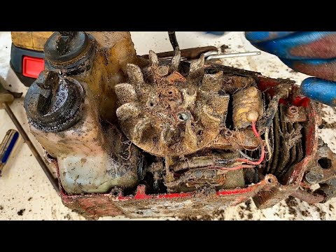 Shock was discovered when Restoration an old rusty chainsaw