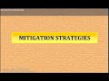 Cyclone Awareness and Mitigation Strategies