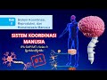 Kuis Sistem Koordinasi Manusia