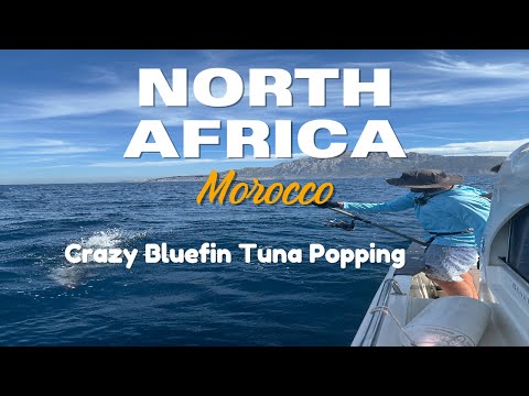 Top-Water Bluefin Tuna - Popping in North Africa, Morocco. Tuna Paradise