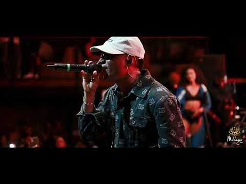 Alma - Zaider | REVES PRODUCCIONES
