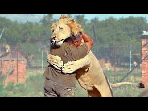 Animals Reunited With Their Owners After Years!