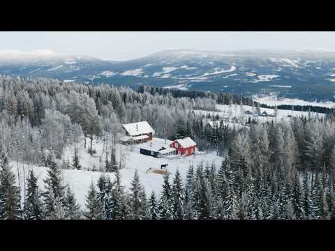 Everything is Different Now - First Weeks with the Horses | #08 Farm Diaries