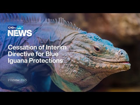 YouTube video thumbnail: Cessation of Interim Directive for Blue Iguana Protections