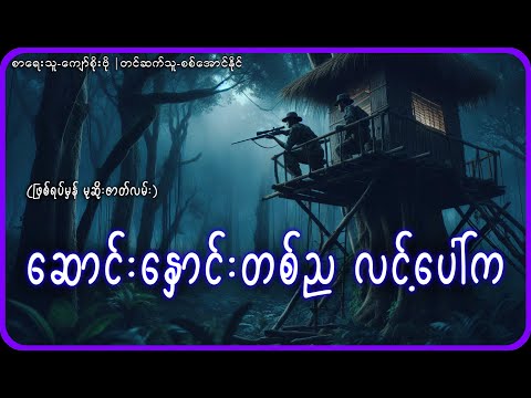 ဆောင်းနှောင်းတစ်ည လင့်ပေါ်က