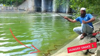 "BEST CATCHES &HUNGRY SNAKE!SMALL HOOK FISHING STRATEGIES FOR BAAMFISHES AND TILAPIAFISHES TORTOISE 