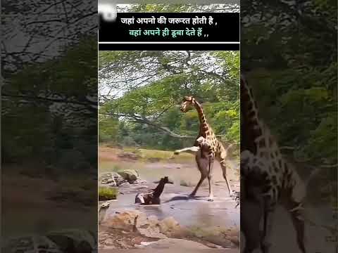 कोन करता है एसा? #viralshorts #viralvideo