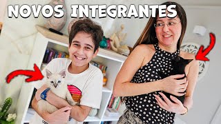 NOVOS INTEGRANTES DA FAMÍLIA PAULINHO E TOQUINHO