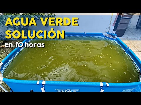 COMO TRATAR EL AGUA VERDE EN 10 HORAS