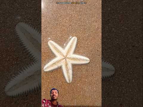 Introducing the "VitaWear SmartBand," a next-generation wearable gadget🎉