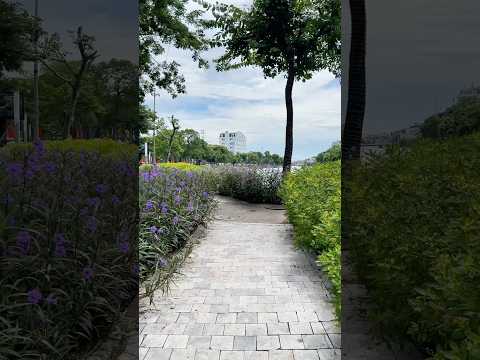 Chỉ cần cuộc sống bình yên là đủ rồi