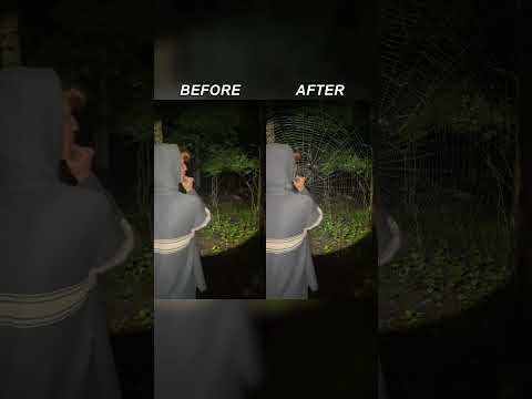 Finding a Massive Spiderweb - Before & After