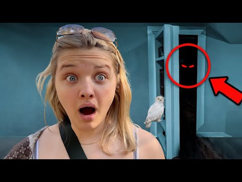 We Found a SECRET ROOM in our HOUSE!
