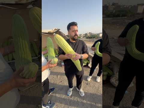 سكونونو يشوف شي غريب بالطريق 😨 #احمد_الامير