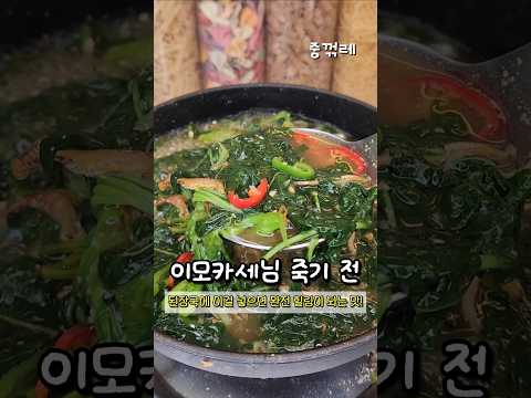 <strong>영혼까지</strong> 힐링되는 맛🥹