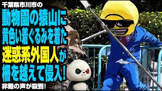 千葉県市川市の動物園の猿山に黄色い着ぐるみを着た迷惑系外国人が柵を越えて侵入！非難の声が殺到！