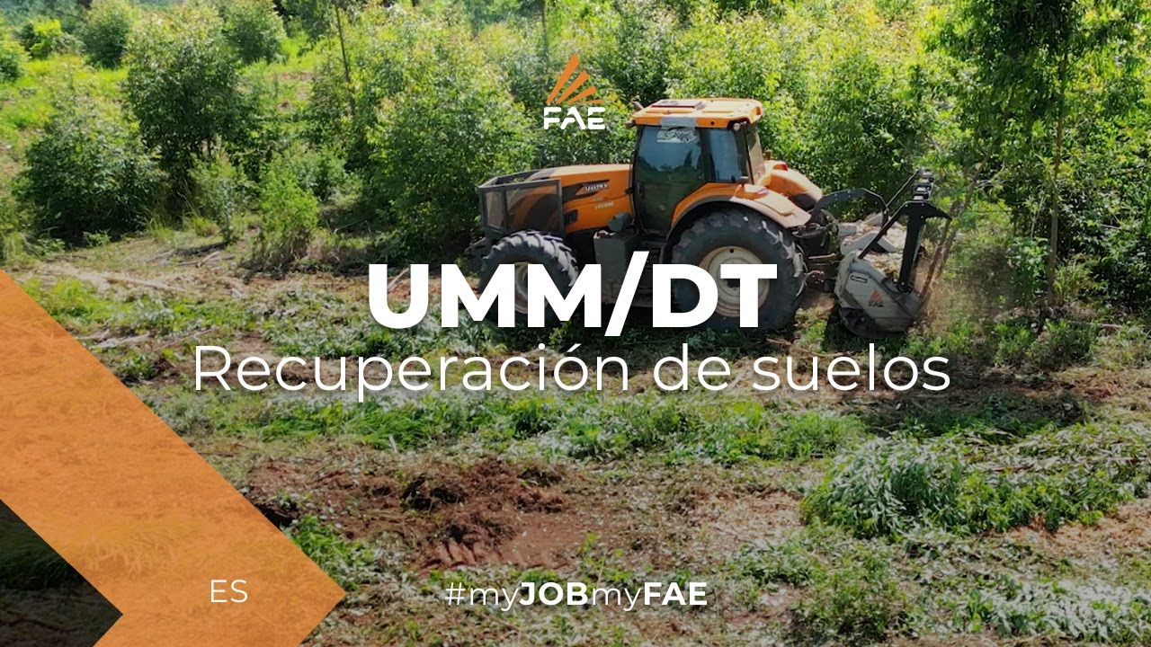 La trituradora forestal FAE UMM/DT está trabajando duro en la reconversión de un área forestal