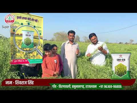 पैदावार में दम, Super Seeds 618 सरसों हर कदम!