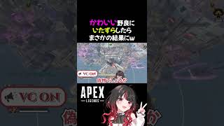【APEX】かわいい野良にいたずらしたらまさかの結果にw #shorts