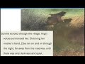 Comprehension Levels and Strategies