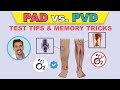 Peripheral Vascular Disease Symptoms and Issues