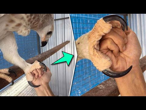 ¡Cosas Que No Sabías! #11