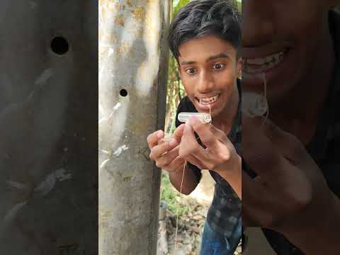 Collecting water from inside the pot #camping​ #bushcraft​ #survival​ #outdoors  #bamboo #skills