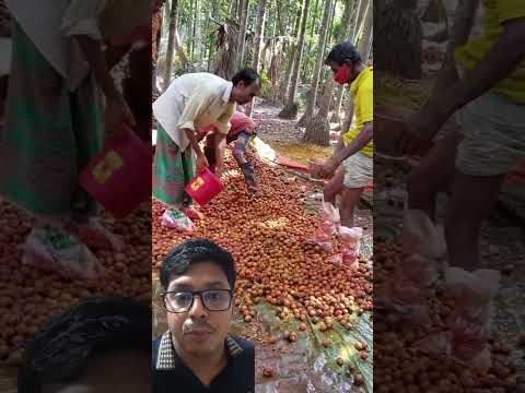 কাকে বিশ্বাস করবেন ভাই মানুষকে দেখুন মানুষ কি করতেছে 😭