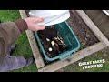 Composting Basics and Maintenance