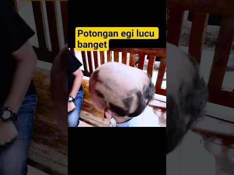 potongan egi model apa ? ada yang tau ??