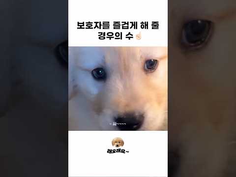 모두가 행복할 수 있는 단 한가지 선택