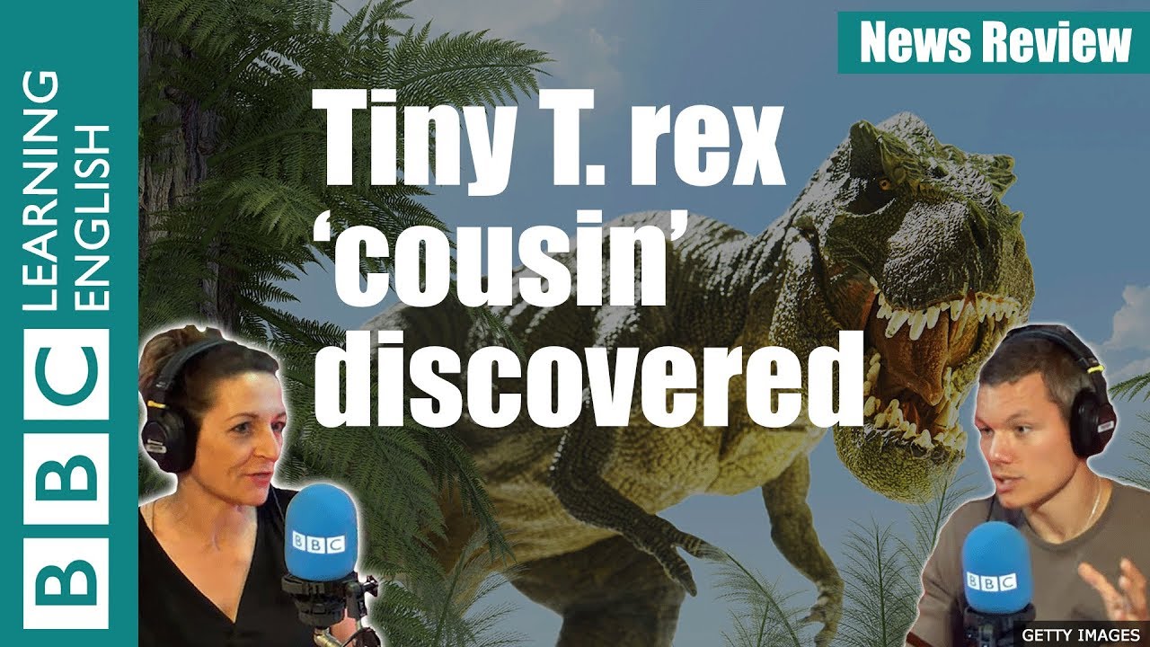 Tiny 'cousin' of T.rex discovered - News Review