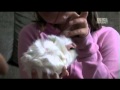 Guinea Pig Knowledge Assessment