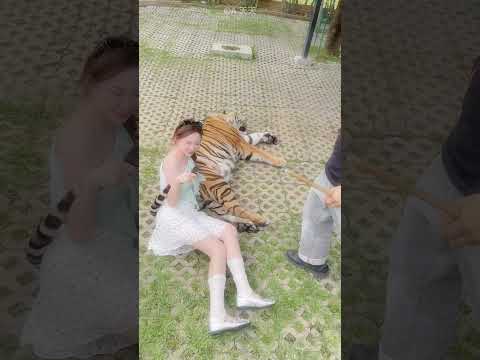 She Held a REAL Tiger's Tail for a Photo!