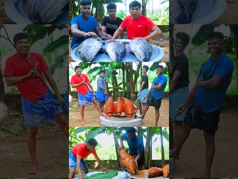 Fish Mandhi #shorts