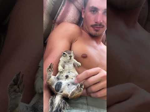 This squirrel has some 🥜😂 #animalshorts