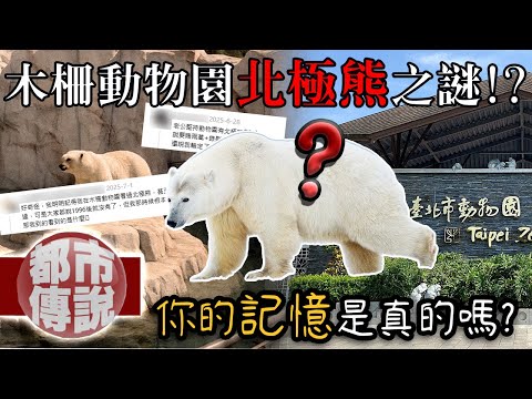 你也看過木柵動物園的北極熊嗎？！曼德拉效應竟讓台灣人都記憶錯亂！｜木柵動物園北極熊謎團｜下水道先生