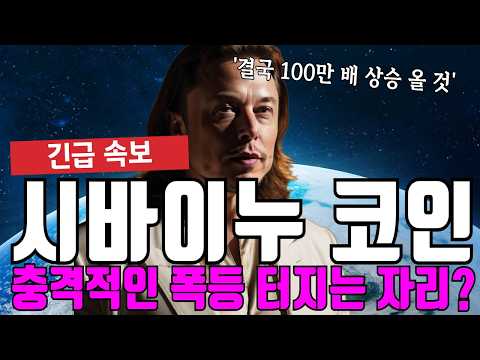 <strong>시바이누</strong> 코인 충격적인 폭등 터지는 자리