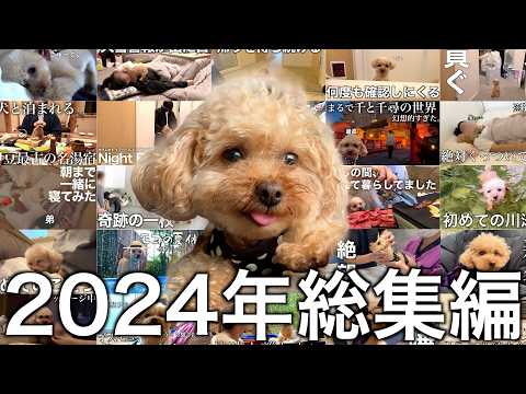 【2024年総集編】1年間ありがとうございました！