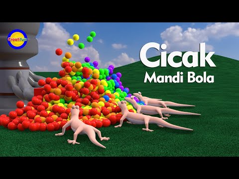 Cicak Mandi Bola Warna Warni (Belajar Mengenal Warna untuk Balita) - Video Edukasi Anak Indonesia