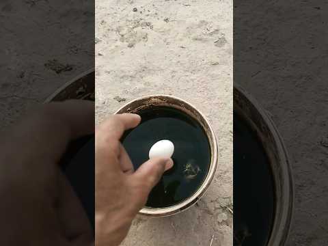 Kharab Anda check karne ka tarika?||#shorts #youtubeshorts