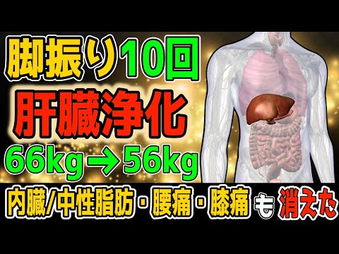 【アラフィフ！ -10kg】1時間歩くより10回脚を振るだけ！勝手にリンパ流し肝臓浄化で内臓/中性脂肪も減って頻尿・腰椎ヘルニア・脊柱管狭窄症・変形性股関節/膝関節症を解消し寝たきりリスクも半減！