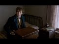 Trailer 1 do filme Fantastic Beasts & Where to Find Them