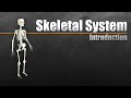 Forensic Anthropology and the Skeletal System