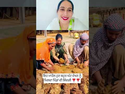 ਇਹ ਮਾਹੌਲ ਹੁਣ ਬਹੁਤ ਘੱਟ ਦੇਖਣ ਨੂੰ ਮਿਲਦਾ ❣️ #punjabisong #punjabimusic #music #trending #shortsfeed